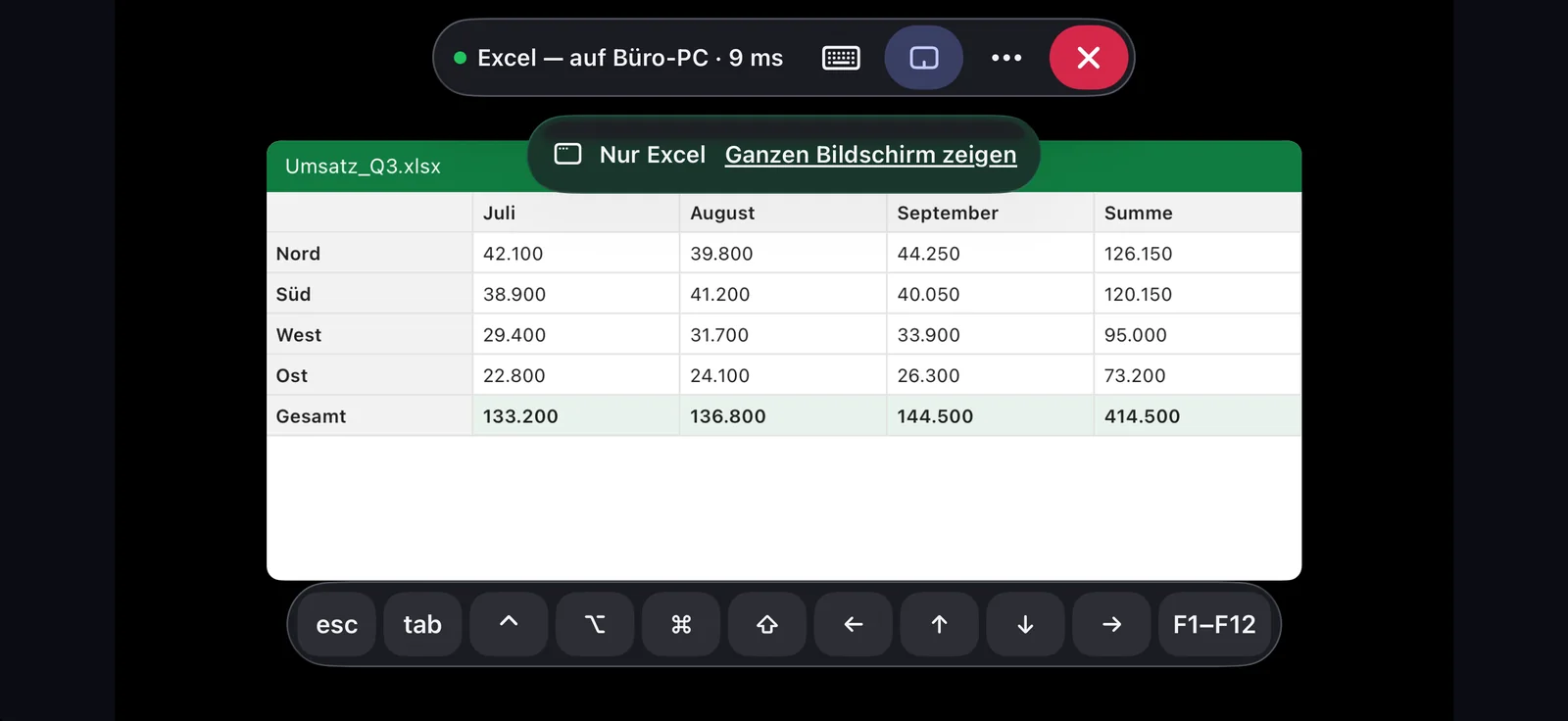 Eine Sitzung auf dem Smartphone, die nur eine App zeigt: oben die Werkzeugleiste, darunter „Nur Excel“ mit „Ganzen Bildschirm zeigen“