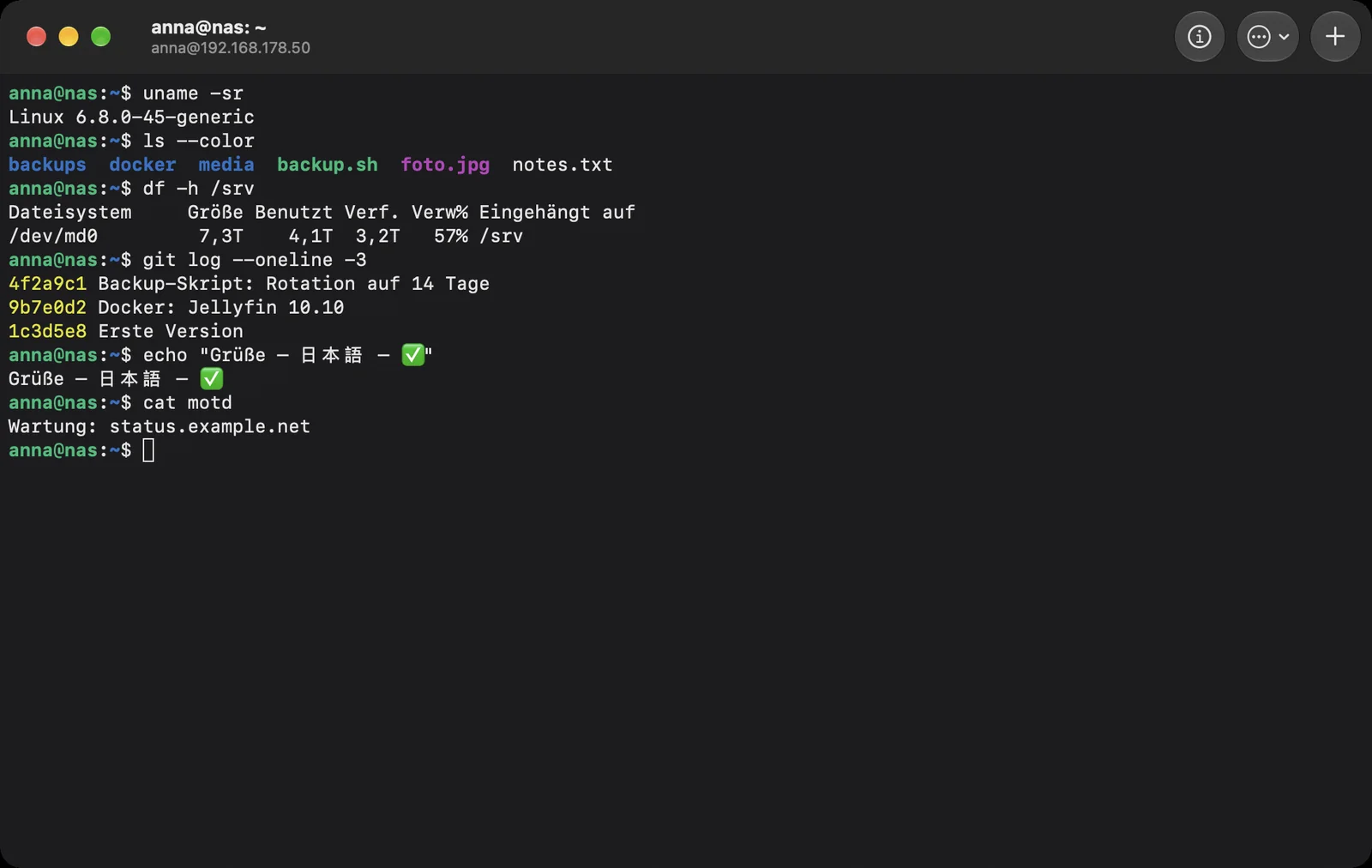 Ein Terminal-Fenster mit einer SSH-Sitzung auf dem NAS
