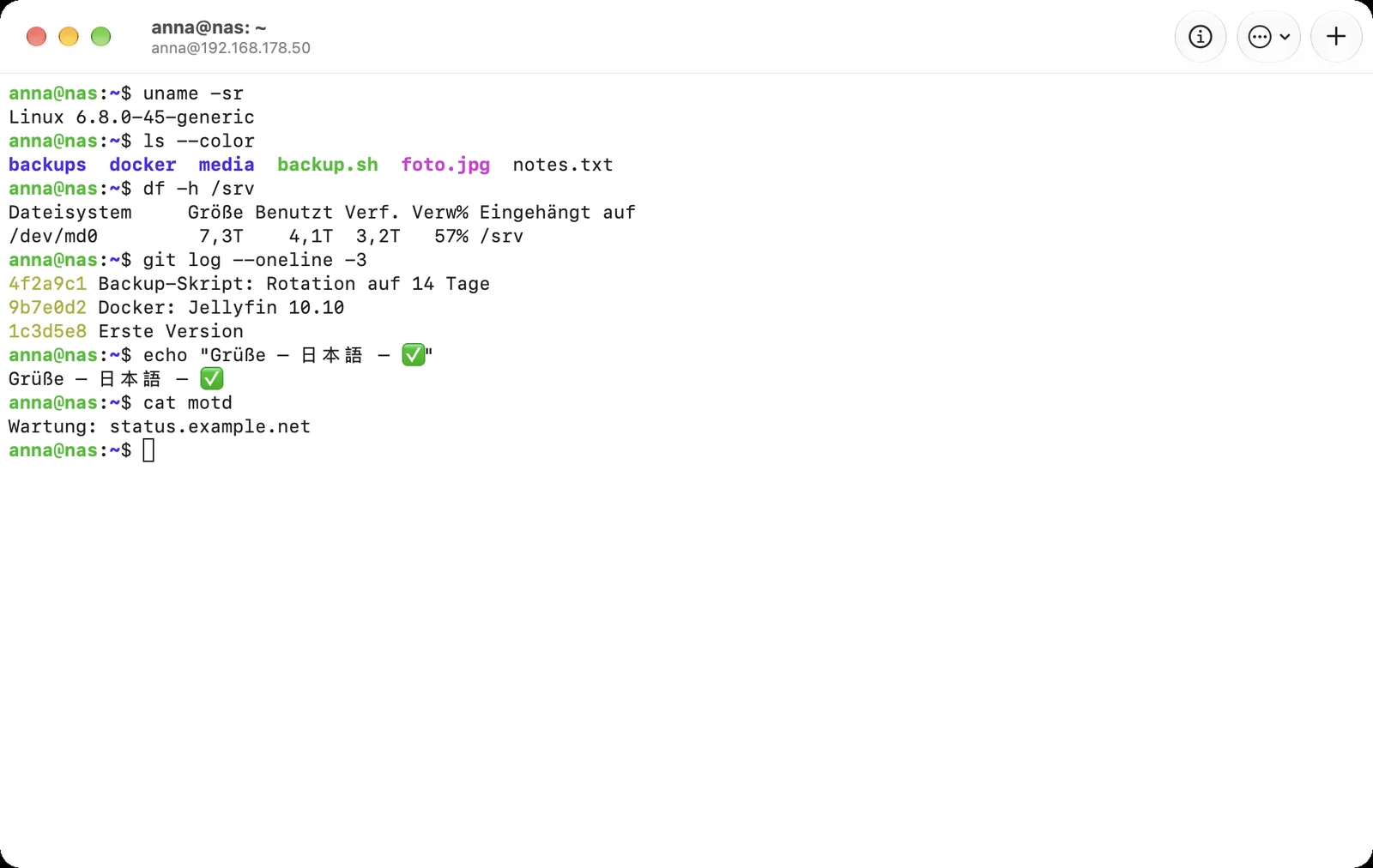 Ein Terminal-Fenster mit einer SSH-Sitzung auf dem NAS