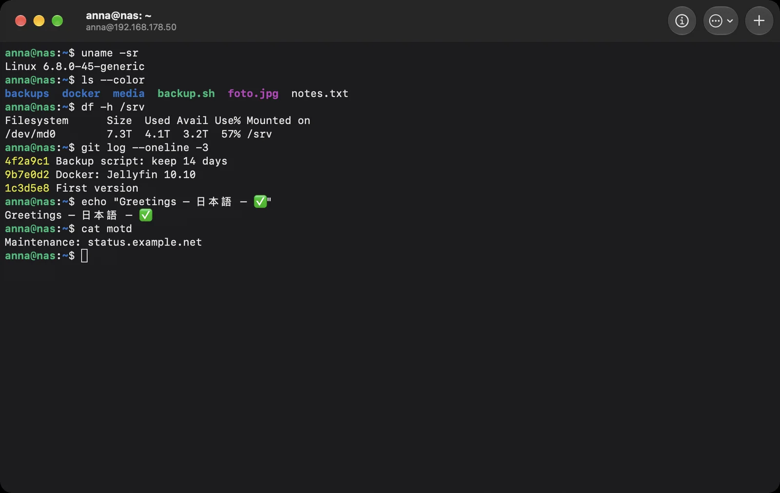 A terminal window with an SSH session on the NAS