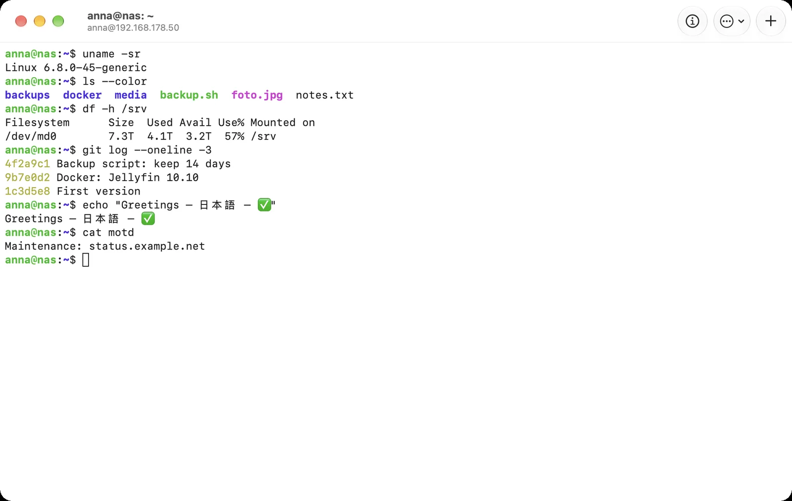 A terminal window with an SSH session on the NAS